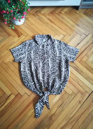 Моднейшая блузка, рубашка в змеиный принт, италия new collection