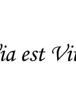 Виниловая наклейка на автомобиль - Via est Vita | Дорога - Это...