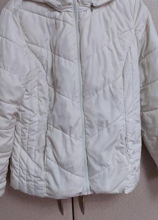 Куртки женские 44-48 размер 250 грн