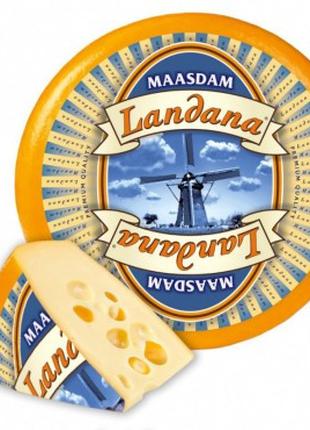 Сыр мааздам Landana Maasdam 50% 1 кг