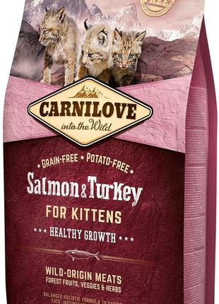 Корм для котят Carnilove Cat Salmon & Turkey Kiten 6кг