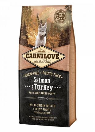 Корм для щенков Carnilove Puppy Large Breed Salmon & Turkey 12кг
