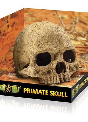 Декорация Exo Terra Primate Skull