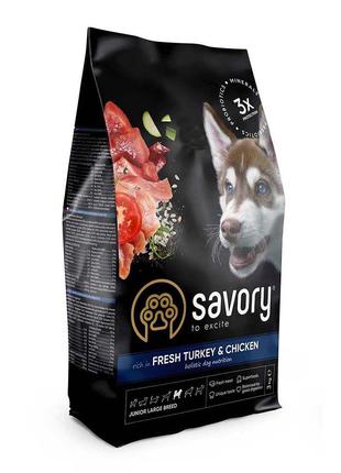 Сухой корм для щенков крупных пород Savory 3 кг (индейка и кур...