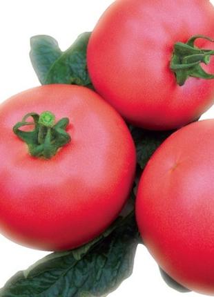 Насіння томату ВП-1 F1 (VP-1 F1 ), 1000 шт., рожевого індетерм...