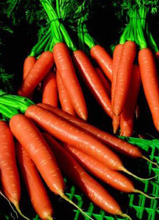 Семена моркови Волкано F1 (Volcano F1), 100000 шт. (VD)
