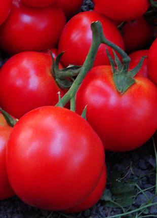 Семена томата Джадело F1 (Jadelo F1), 500 шт., красного индете...