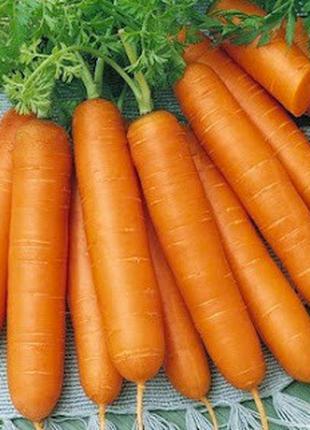 Семена моркови Болеро F1 (Bolero F1), 100000 шт.