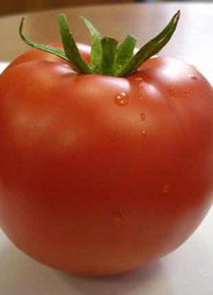 Насіння томату Лінда F1 (Linda F1), 1000 шт., детермінантного