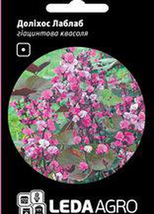 Семена гиацинтовой фасоли Долихос Лаблаб, 1 гр., фиолетовая