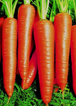 Семена моркови Вита Лонга, 5 гр., ТМ "ЛедаАгро"