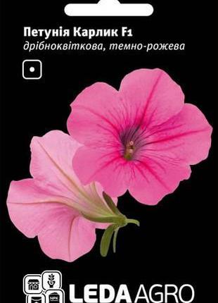 Семена петунии Карлик F1, 10 шт., темно-розовая, мелкоцветковая