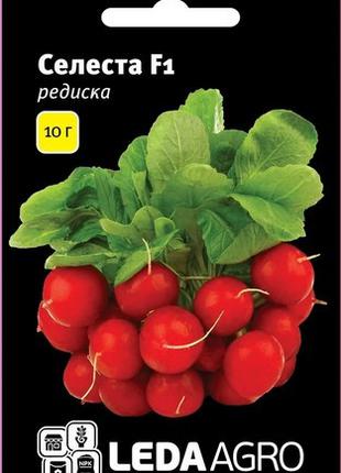 Насіння редиски Селеста (Celesta) F1, 10 гр., ТМ "ЛедаАгро"