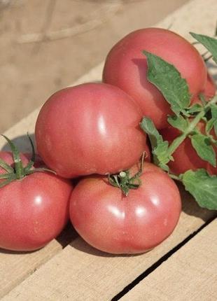 Семена томата Хапинет F1, 1000 шт, розового, детерминантного