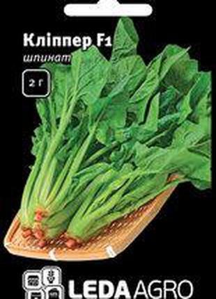 Семена шпината Клиппер F1, 2 гр., ТМ "ЛедаАгро"