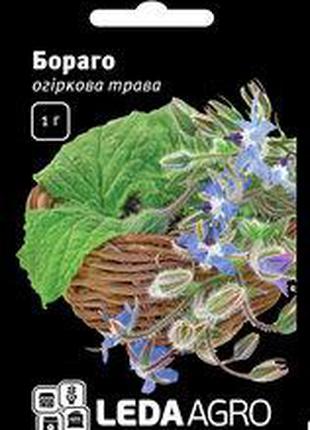 Семена Бораго огуречной травы, 1 гр., ТМ "ЛедаАгро"