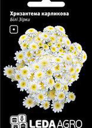Семена хризантемы Белые Звезды, 0,2 гр., карликовая