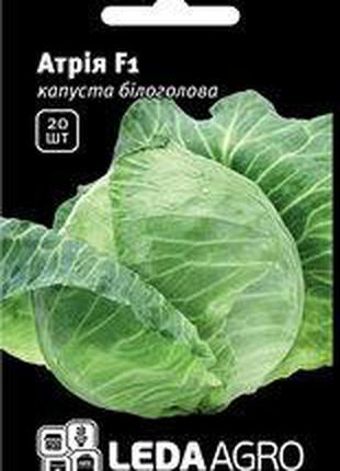 Семена капусты Атрия F1, 20 шт., белокочанной средне-поздней, ...