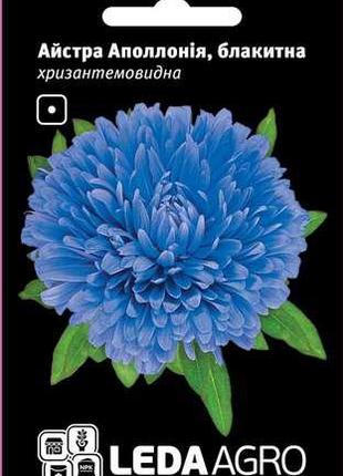 Насіння айстри Аполлонія, 0,2 гр., блакитна, хризантемовидная