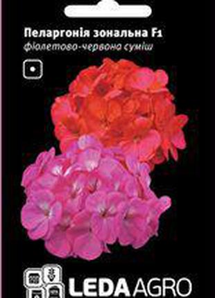 Семена пеларгонии Зональная F1, 5 шт., фиолетово-красная смесь