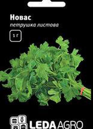 Семена петрушки Новас, 1 гр., листовой, ТМ "ЛедаАгро"
