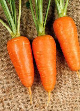 Насіння моркви Болтекс, 10 гр., ТМ "ЛедаАгро"