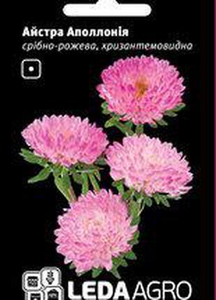 Семена астры Аполлония, 0,2 гр., серебристо-розовая, хризантем...
