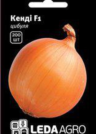 Семена лука Кэнди F1, 200 шт., репчатого салатного, ТМ "ЛедаАгро"