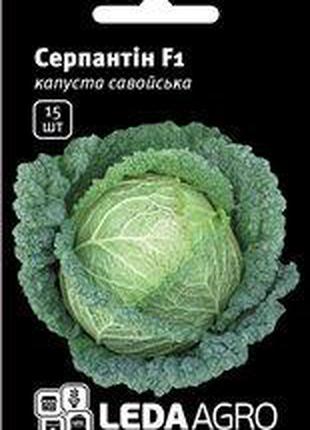 Семена капусты Серпантин F1, 15 шт., савойской, ТМ "ЛедаАгро"