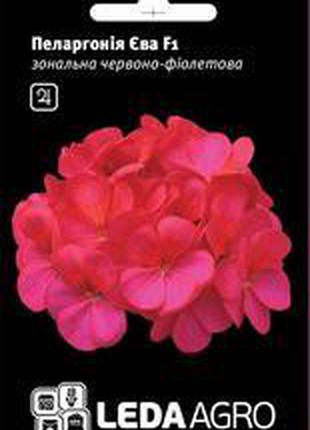 Семена пеларгонии Ева F1, 5 шт. (драже), красно-фиолетовая зон...