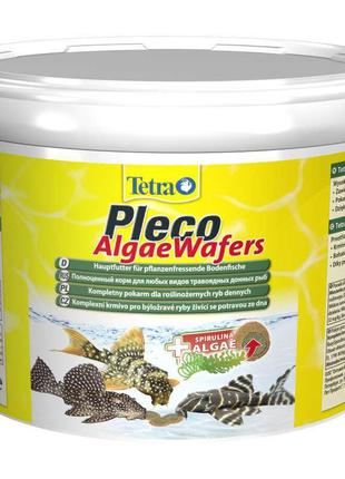 Tetra (Тетра) Pleco Algae Wafers - Корм для донних риб в чіпсах