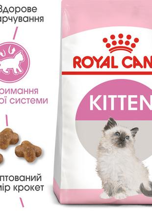 Сухий корм для кошенят від 4 до 12 місяців Royal Canin Kitten ...