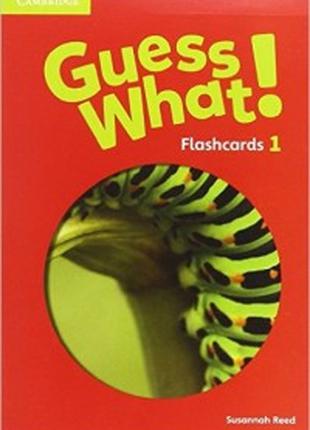 Guess What! Level 1 Flashcards (pack of 95)