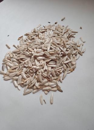 Органические семена белого подсолнуха 1 кг