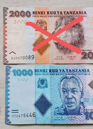 Деньги Танзании. Монеты. Купюры Африка. Шиллинг. Боны. Банкноты