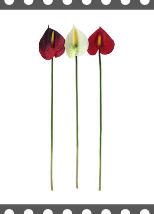 Искусственные цветы Премиум Антуриум на ножке, 600 мм