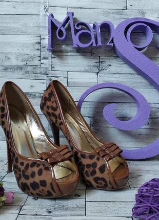 Жіночі туфлі eva rossi коричневого кольору леопардовий принт р...