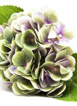 Цветок искусственный Гортензия фиолетовая 42 см 630577
