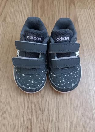 Кросівки adidas 19p