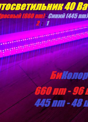 Фито LED Светильник Биколор 40 Вт (Красный 660 nm/Синий 445nm)