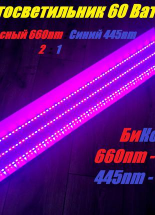 Фито LED Светильник Биколор 60 Вт, Красный 660 nm/Синий 445nm ...