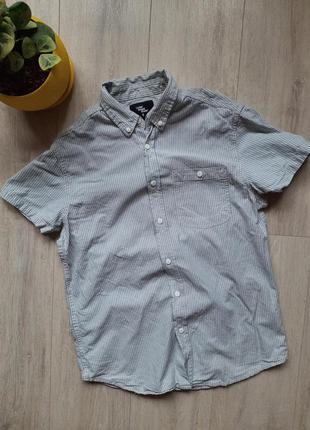 Cedarwood state рубашка сорочка шведка плотная хлопок