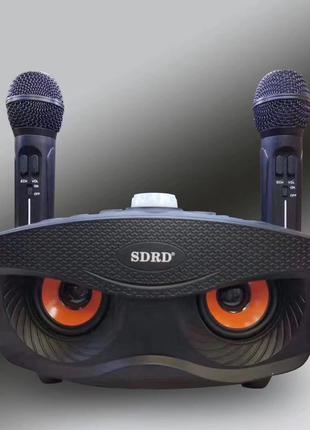 Акустическая караоке система SDRD SD-306 с двумя микрофонами B...