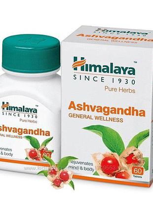 Ашваганда Хімалая Ашвагандха Ashvagandha Himalaya, 60 таблеток
