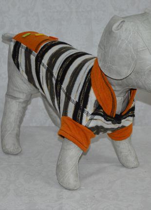Куртка для собак Трикотаж- жакет