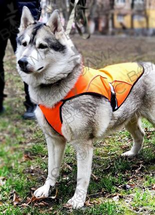 Попона, жилет,накидка для собак