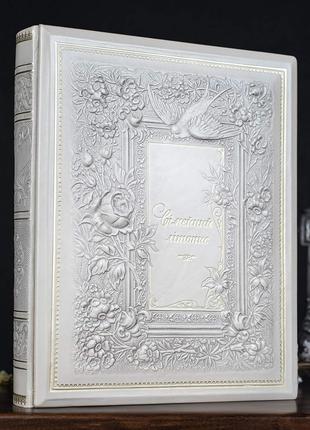 Книга роду українською мовою "Сімейний літопис" Silver