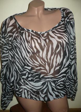 Блузка блуза прозрачная, зебра select 48-50р.