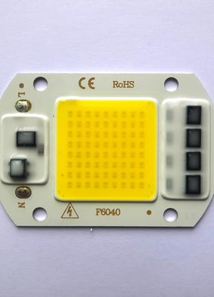 Светодиодная Матрица 220 LED CHIP с драйвером 50Вт
