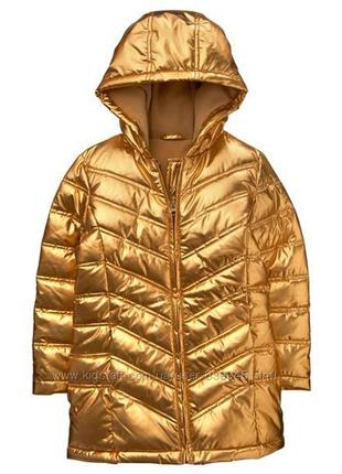 Золотая куртка crazy8